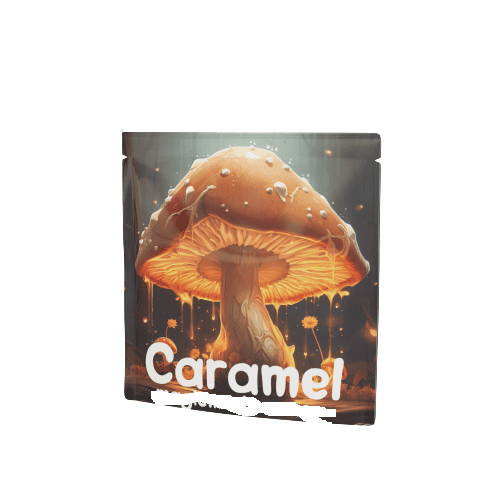 caramel met paddenstoelenextract 2 karamel