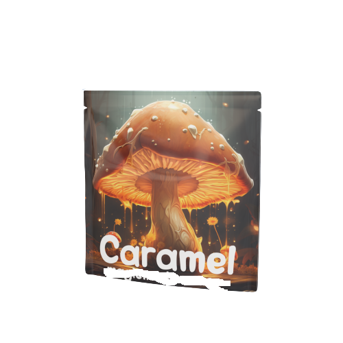 caramel met paddenstoelenextract 2 karamel   slecht € 24,95