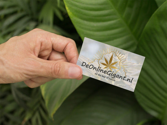 CBD Bubblegum 20% CBD  (extra strong )