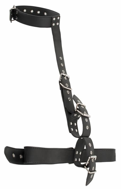 Vegan Hals en Armen Bondage Set