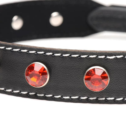 Diamanten Choker Met O-Ring - Zwart/Rood